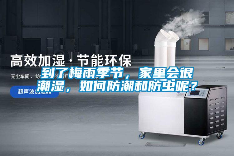到了梅雨季節，家里會很潮濕，如何防潮和防蟲呢？