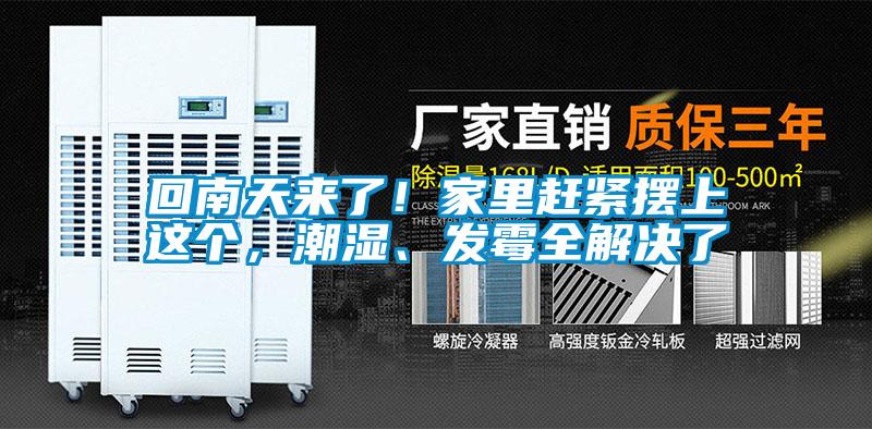 回南天來了！家里趕緊擺上這個(gè)，潮濕、發(fā)霉全解決了