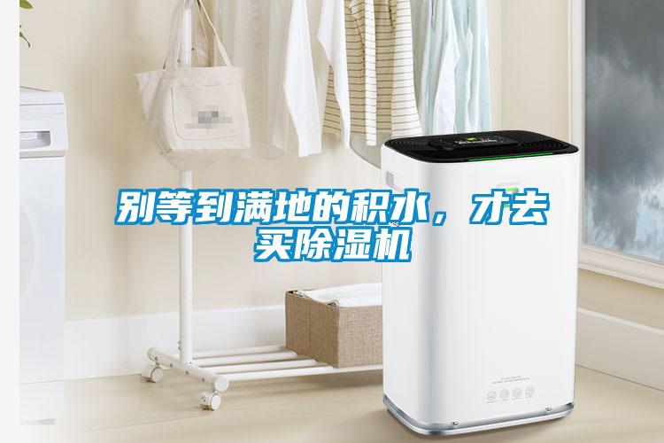 別等到滿地的積水,才去買除濕機(jī)