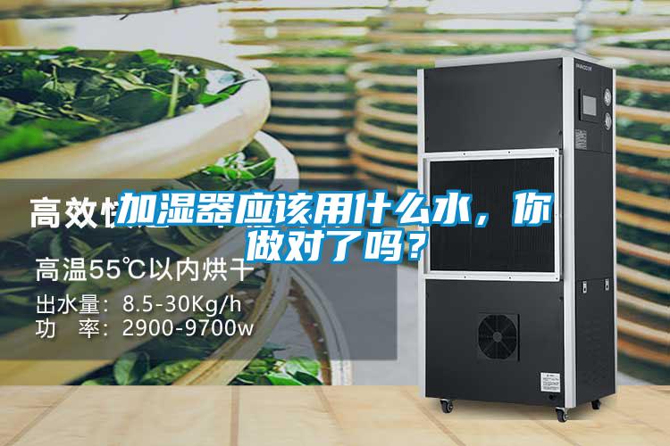 加濕器應該用什么水，你做對了嗎？