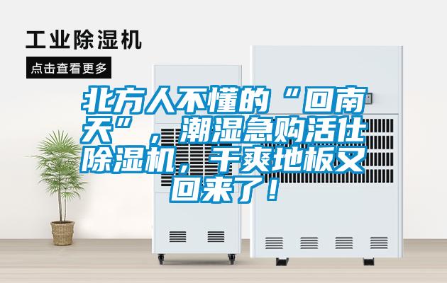 北方人不懂的“回南天”，潮濕急購活仕除濕機，干爽地板又回來了！