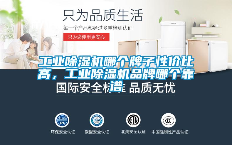 工業除濕機哪個牌子性價比高，工業除濕機品牌哪個靠譜