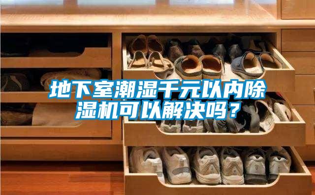 地下室潮濕千元以內除濕機可以解決嗎？