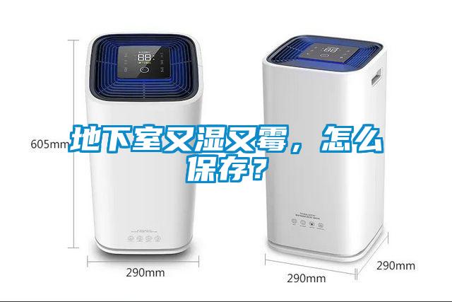 地下室又濕又霉，怎么保存？