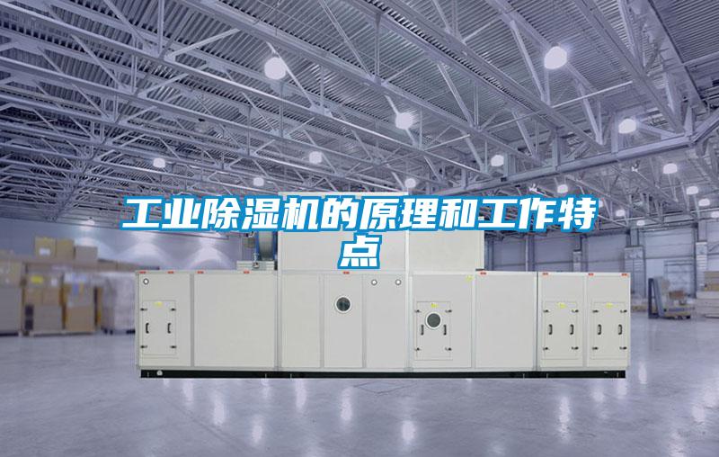 工業除濕機的原理和工作特點