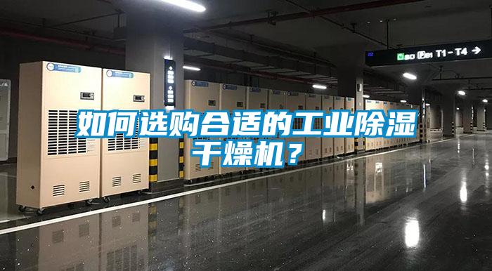 如何選購合適的工業除濕干燥機？