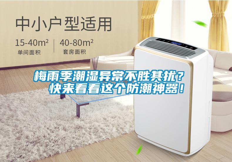 梅雨季潮濕異常不勝其擾？ 快來看看這個防潮神器！