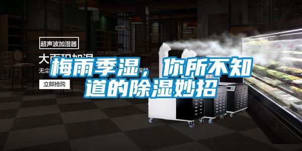 梅雨季濕，你所不知道的除濕妙招