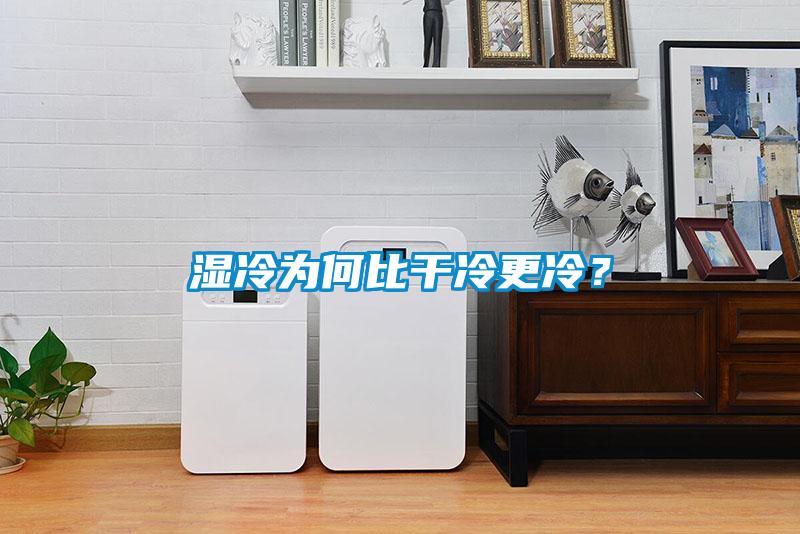 濕冷為何比干冷更冷？