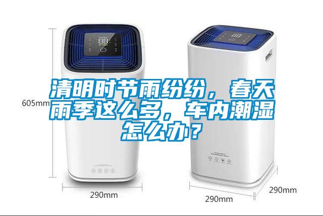 清明時(shí)節(jié)雨紛紛，春天雨季這么多，車內(nèi)潮濕怎么辦？