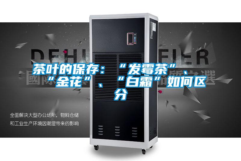 茶葉的保存：“發(fā)霉茶”、“金花”、“白霜”如何區(qū)分