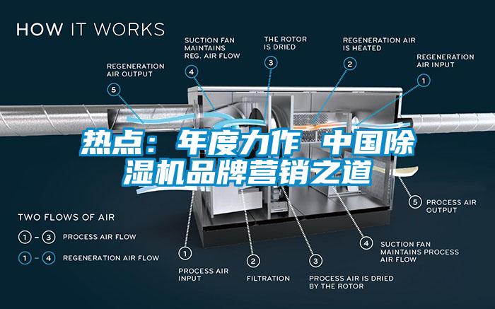 熱點：年度力作 中國除濕機(jī)品牌營銷之道