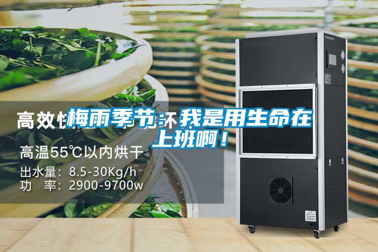 梅雨季節：我是用生命在上班啊！