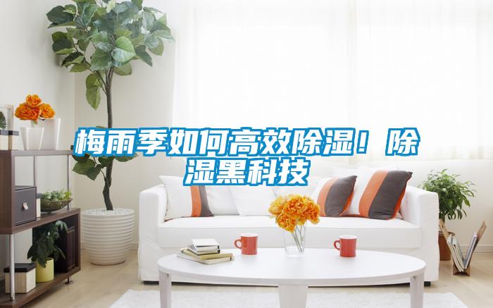 梅雨季如何高效除濕！除濕黑科技
