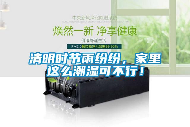 清明時節雨紛紛，家里這么潮濕可不行！