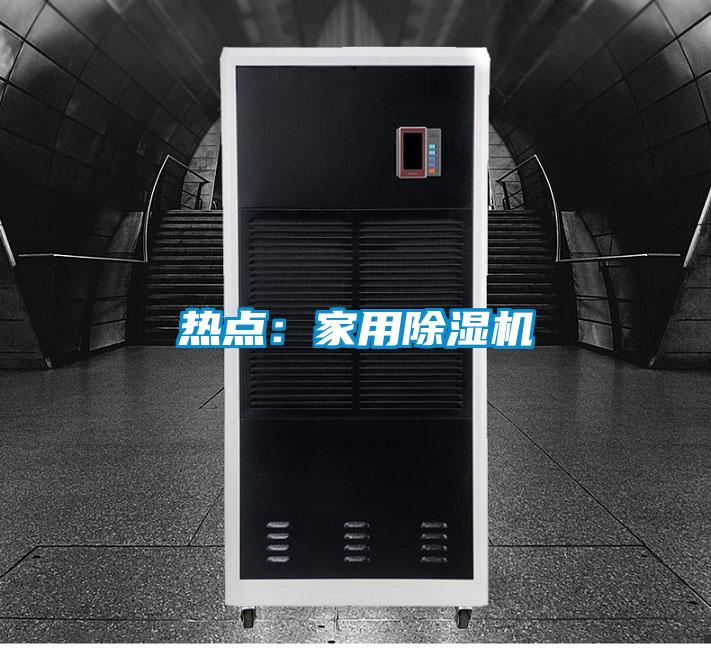 熱點：家用除濕機(jī)