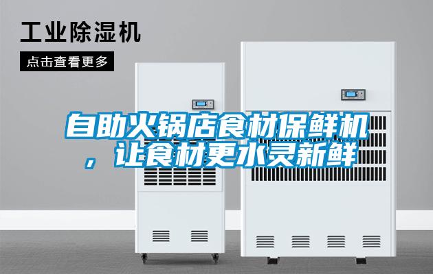 自助火鍋店食材保鮮機，讓食材更水靈新鮮