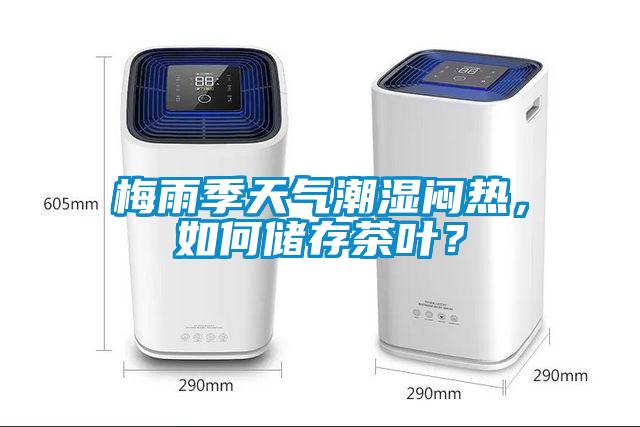 梅雨季天氣潮濕悶熱，如何儲(chǔ)存茶葉？