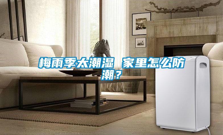 梅雨季太潮濕 家里怎么防潮？