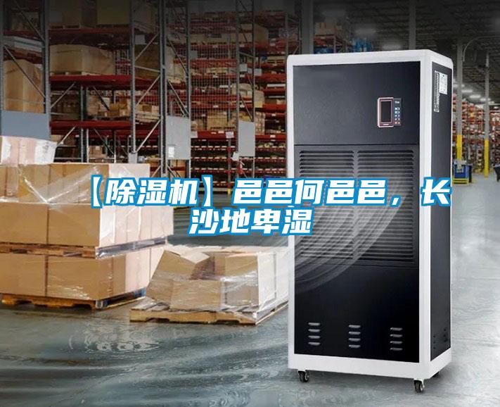 【除濕機】邑邑何邑邑，長沙地卑濕
