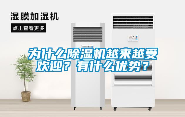 為什么除濕機(jī)越來(lái)越受歡迎？有什么優(yōu)勢(shì)？