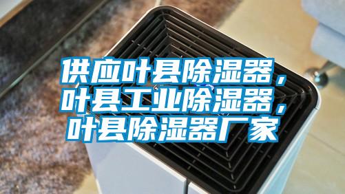 供應葉縣除濕器，葉縣工業(yè)除濕器，葉縣除濕器廠家