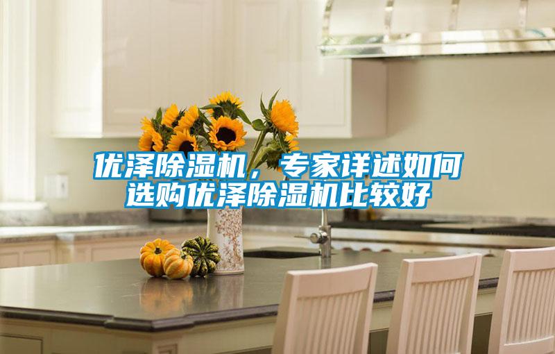 優(yōu)澤除濕機(jī)，專家詳述如何選購優(yōu)澤除濕機(jī)比較好