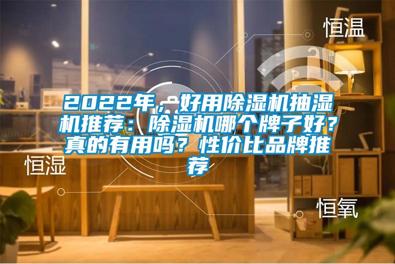 2022年，好用除濕機抽濕機推薦：除濕機哪個牌子好？真的有用嗎？性價比品牌推薦