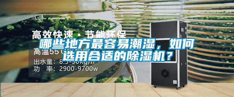 哪些地方最容易潮濕，如何選用合適的除濕機？