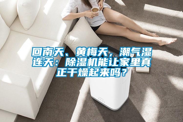 回南天、黃梅天，潮氣濕連天：除濕機能讓家里真正干燥起來嗎？