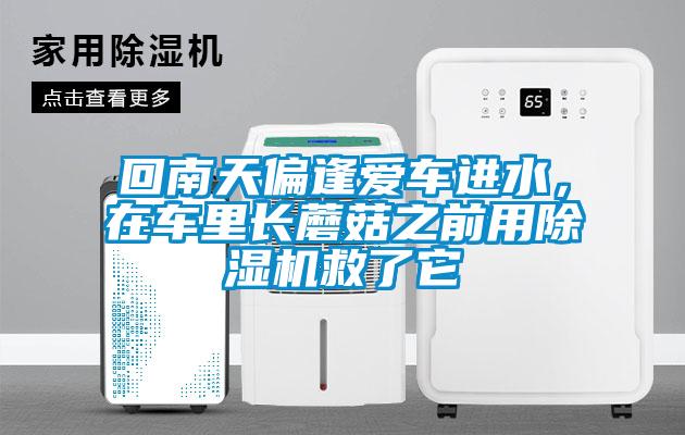 回南天偏逢愛車進水，在車里長蘑菇之前用除濕機救了它