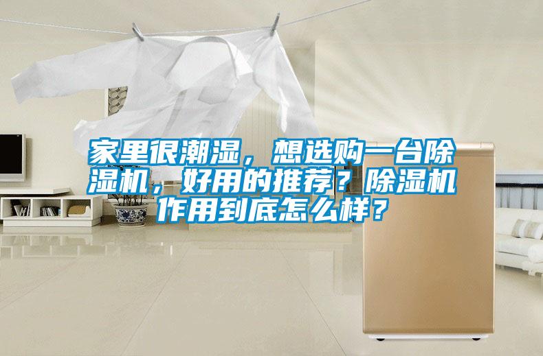 家里很潮濕，想選購一臺除濕機，好用的推薦？除濕機作用到底怎么樣？