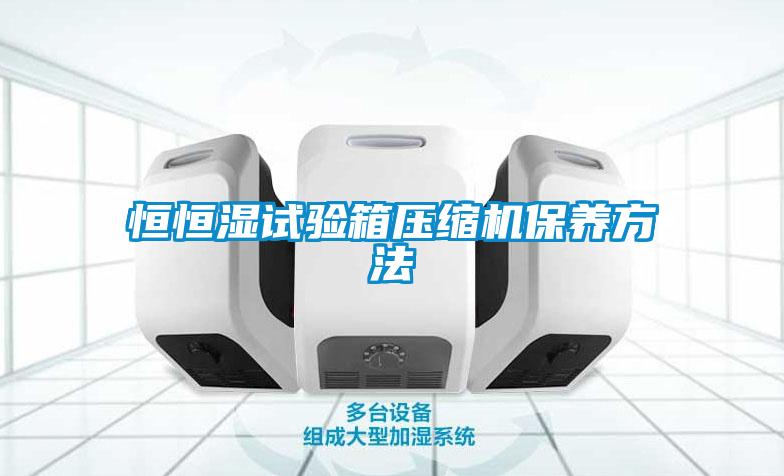 恒恒濕試驗箱壓縮機保養方法