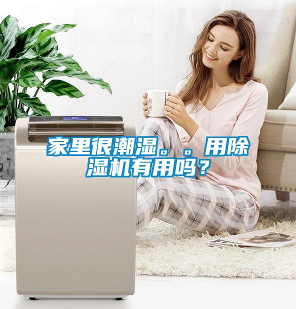 家里很潮濕。。用除濕機有用嗎？