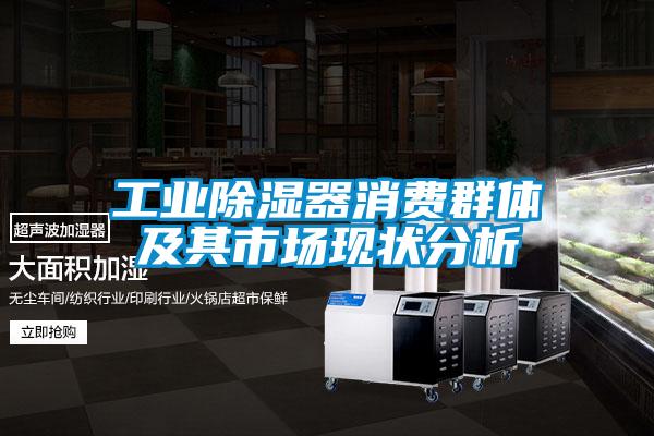 工業(yè)除濕器消費(fèi)群體及其市場現(xiàn)狀分析