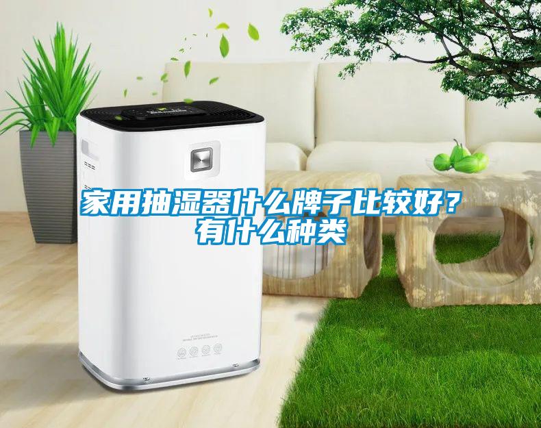 家用抽濕器什么牌子比較好？有什么種類