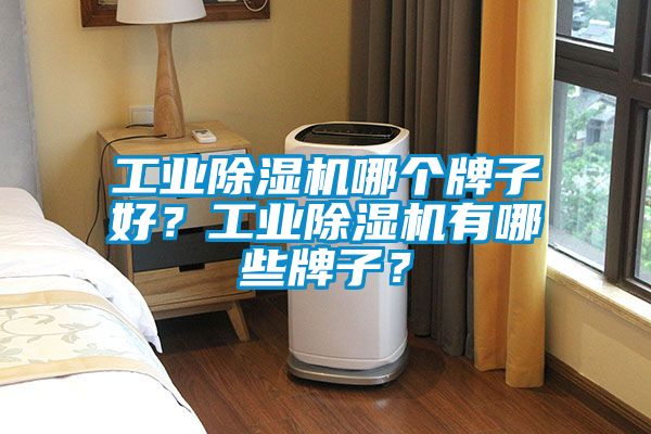 工業(yè)除濕機哪個牌子好？工業(yè)除濕機有哪些牌子？