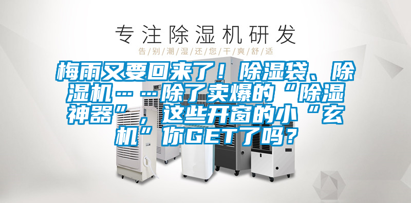 梅雨又要回來了！除濕袋、除濕機……除了賣爆的“除濕神器”，這些開窗的小“玄機”你GET了嗎？