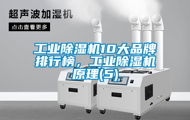 工業(yè)除濕機(jī)10大品牌排行榜，工業(yè)除濕機(jī)原理(5)