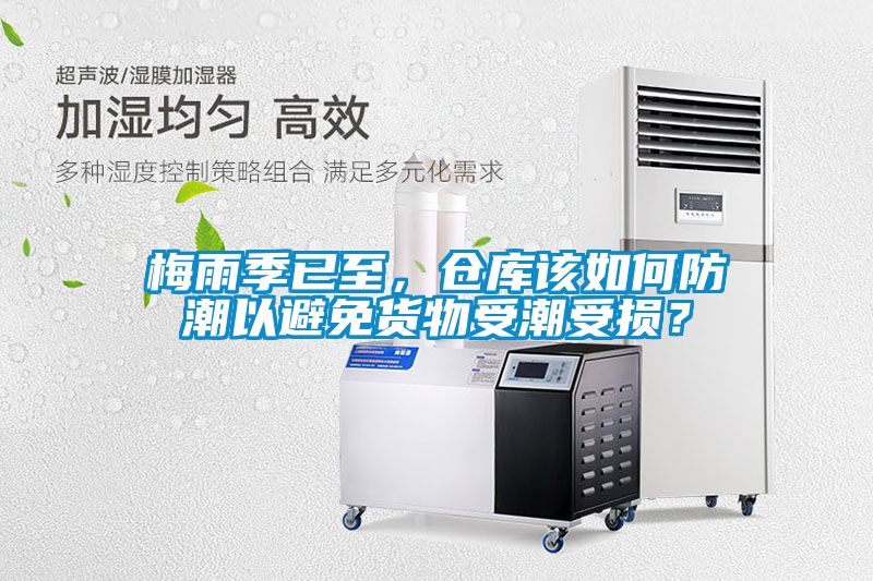 梅雨季已至，倉庫該如何防潮以避免貨物受潮受損？