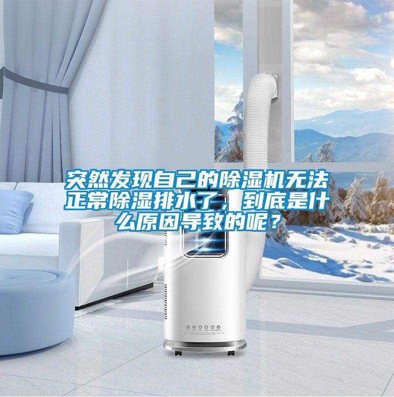 突然發(fā)現(xiàn)自己的除濕機(jī)無(wú)法正常除濕排水了，到底是什么原因?qū)е碌哪兀?/></p>
						    <p style=