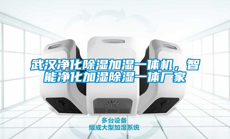 武漢凈化除濕加濕一體機，智能凈化加濕除濕一體廠家