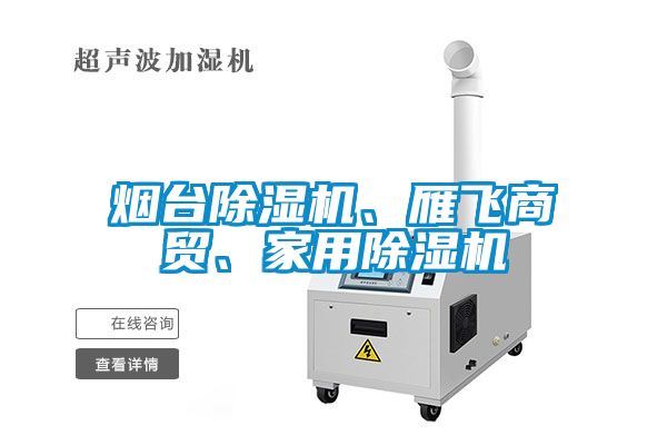 煙臺除濕機、雁飛商貿、家用除濕機