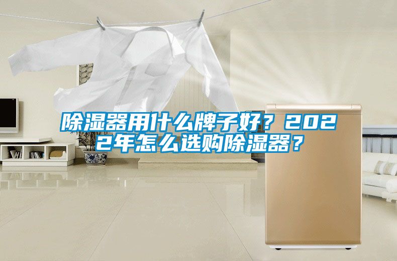 除濕器用什么牌子好？2022年怎么選購除濕器？