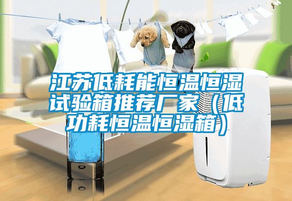 江蘇低耗能恒溫恒濕試驗箱推薦廠家（低功耗恒溫恒濕箱）
