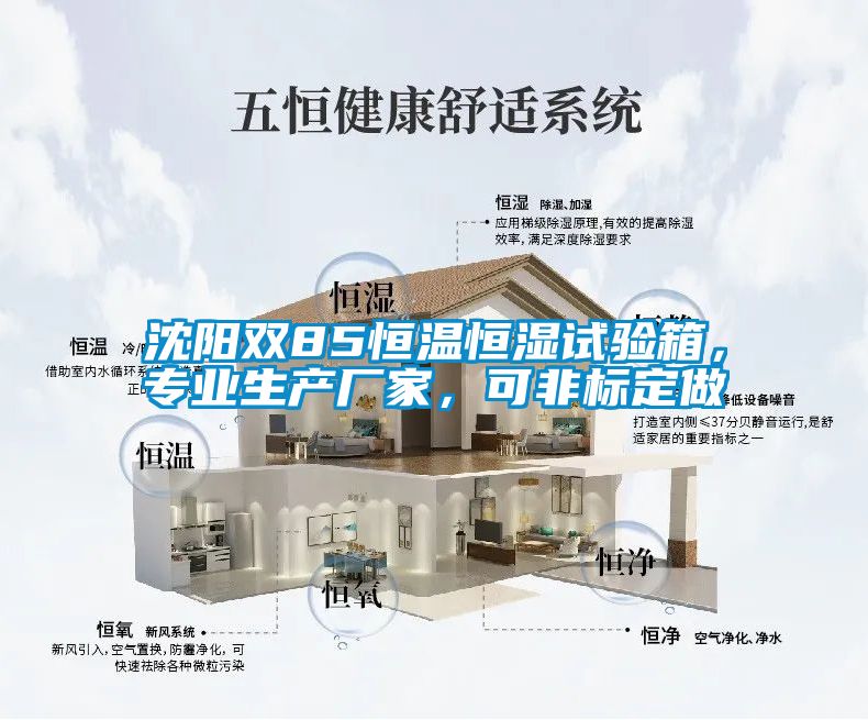 沈陽雙85恒溫恒濕試驗(yàn)箱，專業(yè)生產(chǎn)廠家，可非標(biāo)定做