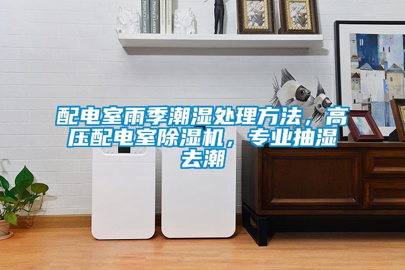 配電室雨季潮濕處理方法，高壓配電室除濕機(jī)，專業(yè)抽濕去潮