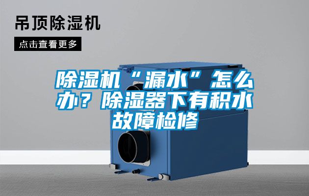 除濕機“漏水”怎么辦？除濕器下有積水故障檢修
