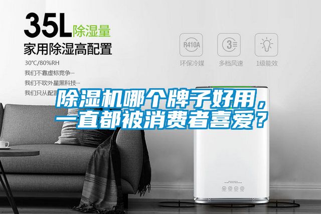 除濕機(jī)哪個牌子好用，一直都被消費(fèi)者喜愛？