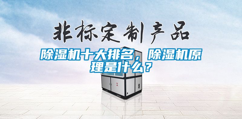 除濕機十大排名，除濕機原理是什么？